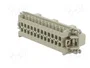 LAPP Conector Industrial HDC EPIC® H-BE 24 SS DR 25-48
