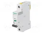SCHNEIDER ELECTRIC iC60N Interruptor magnetotérmico 2A 1 polo Caract D