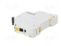 SCHNEIDER ELECTRIC iC60N Interruptor magnetotérmico 2A 1 polo Caract D