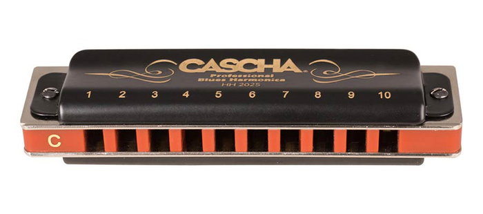 Professional Blues Harmonica In C, Incl. Case And Professional Blues Harmonica In C, Incl. Case And