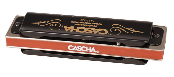Professional Blues Harmonica In C, Incl. Case And Professional Blues Harmonica In C, Incl. Case And