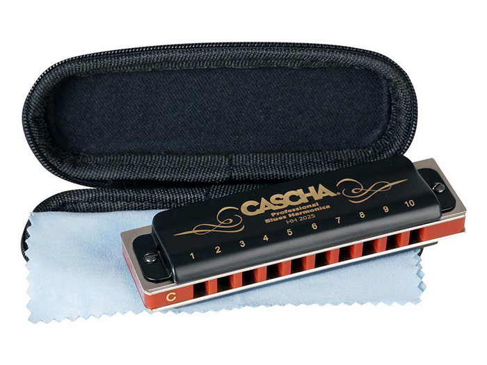 Professional Blues Harmonica In C, Incl. Case And