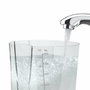 Waterpik WP-662 Irrigador bucal - Negro - Adulto - Unisex
