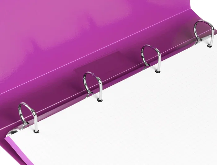 Liderpapel Carpeta 4 anillas 25 mm DIN A4 Polipropileno Lavanda Opaco