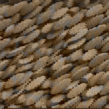 Nayeco Amtra Pro Tabs Alimento en Tabletas para Peces Gato y de Fondo 250 mL