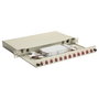 EQUIP Panel de empalme de fibra óptica 12 puertos LC-Duplex OM4 1U Gris