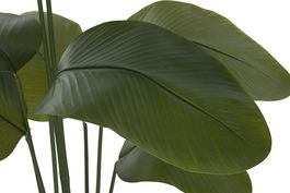 DKD Home Decor Planta Tropical Verde 50 x 160 x 50 cm (2 Unidades)