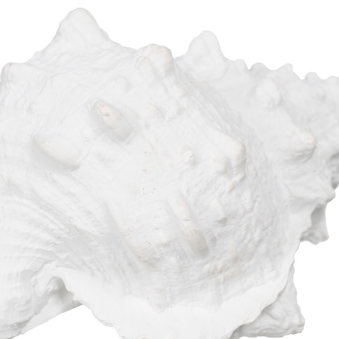 Ixia Figura Caracola Blanco Resina Decoración 21 x 14 x 12 cm Ixia Figura Caracola Blanco Resina Decoración 21 x 14 x 12 cm