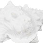 Ixia Figura Caracola Blanco Resina Decoración 21 x 14 x 12 cm