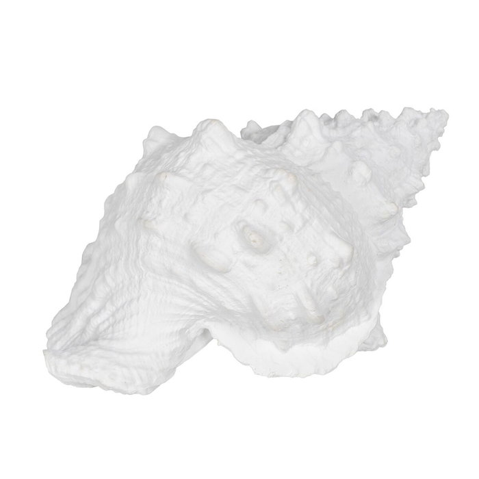Ixia Figura Caracola Blanco Resina Decoración 21 x 14 x 12 cm Ixia Figura Caracola Blanco Resina Decoración 21 x 14 x 12 cm