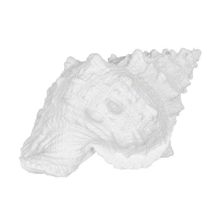 Figura Caracola Blanco Resina Decoración 21 X 14 X 12 cm