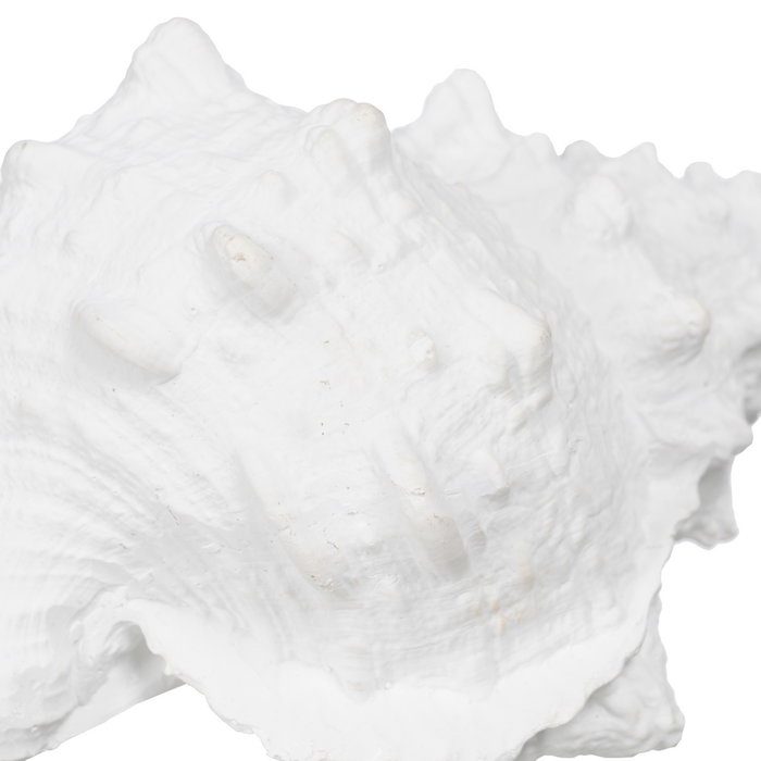 Figura Caracola Blanco Resina Decoración 21 X 14 X 12 cm