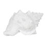 Figura Caracola Blanco Resina Decoración 21 X 14 X 12 cm