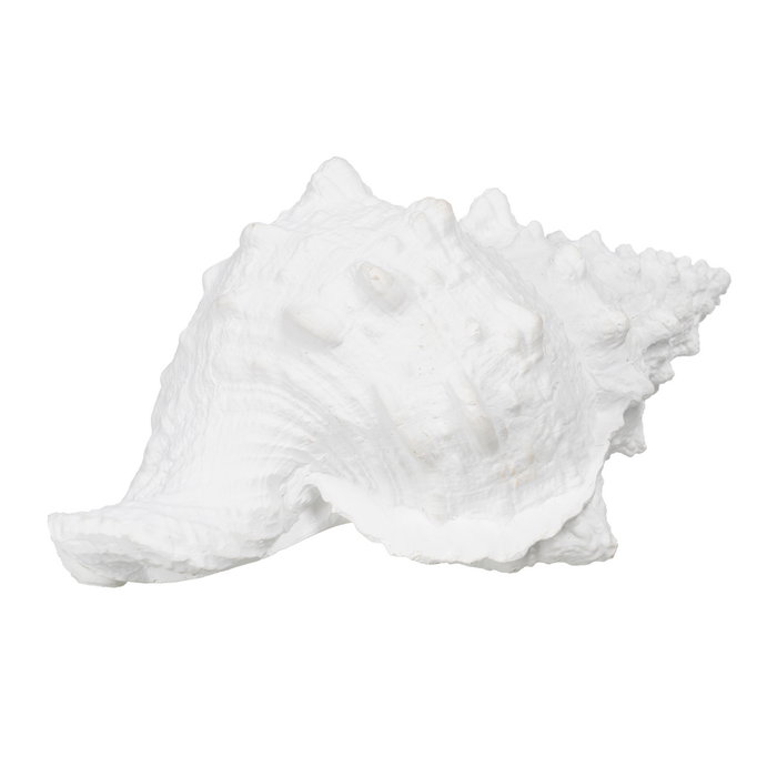 Figura Caracola Blanco Resina Decoración 21 X 14 X 12 cm