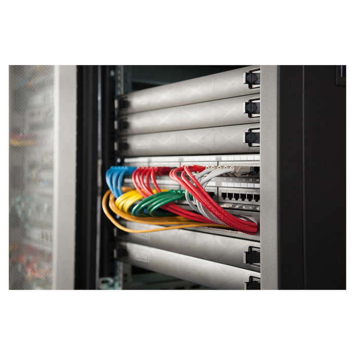 Digitus Panel Ciego 1HE Snap-In Negro ABS Sintéticos para Armarios de Red y Servidor