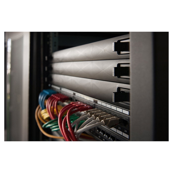 Digitus Panel Ciego 1HE Snap-In Negro ABS Sintéticos para Armarios de Red y Servidor
