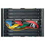 Digitus Panel Ciego 1HE Snap-In Negro ABS Sintéticos para Armarios de Red y Servidor