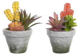 DKD Home Decor Set de 4 Plantas Decorativas Cactus Naranja y Amarillo