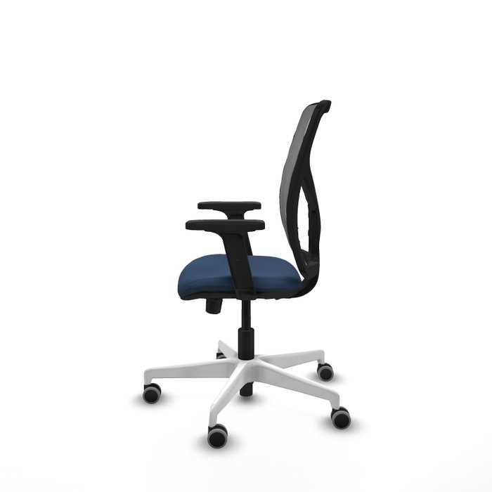 PIQUERAS Y CRESPO Silla de oficina Motilla con mecanismo Sincro/Traslack, Azul marino y Gris PIQUERAS Y CRESPO Silla de oficina Motilla con mecanismo Sincro/Traslack, Azul marino y Gris
