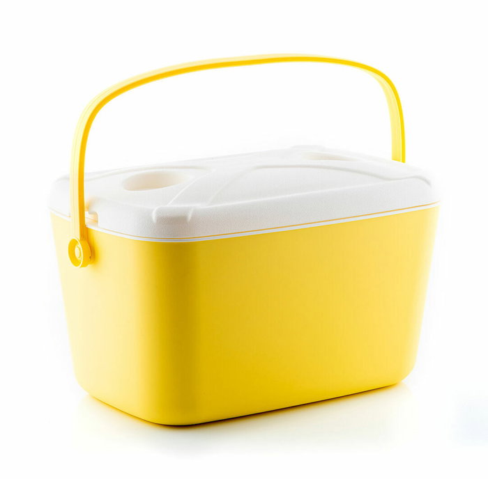Nevera Portátil Rígida Lilty InnovaGoods 15 L