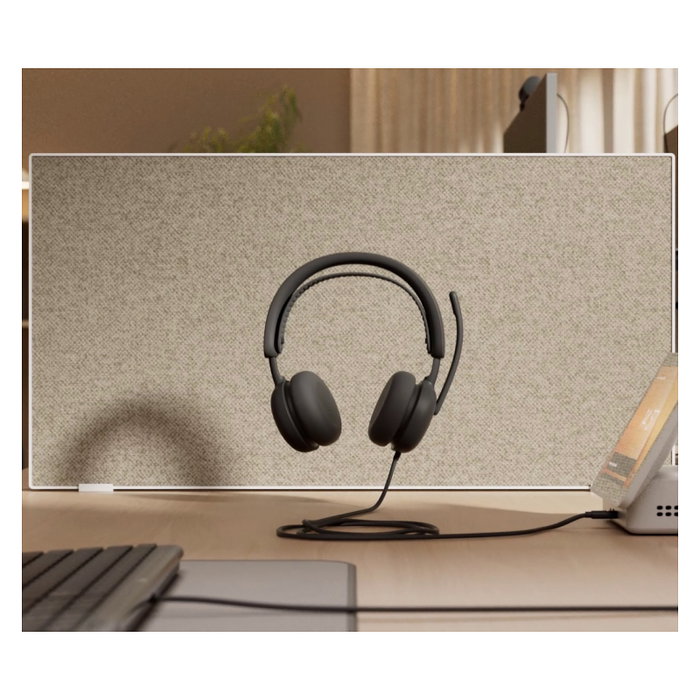 Logitech Auriculares alámbricos 981-001615 USB Type-C / USB Type-A Grafito