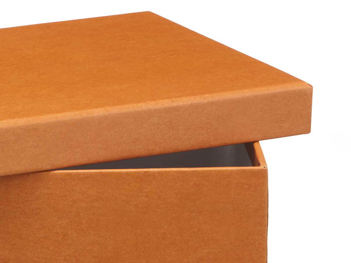 PINCELLO Caja Carton Surtidos Col Neutro Pequeña 21 x 8.5 x 15 cm (Set de 18)