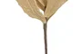 DKD Home Decor Flor Rosa y Beige 10 x 100 x 20 cm (6 Unidades)