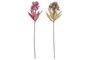 DKD Home Decor Flor Rosa y Beige 10 x 100 x 20 cm (6 Unidades)