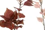 DKD Home Decor Rama Decorativa PE Surtida 15x15x84 cm