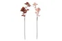 DKD Home Decor Rama Decorativa PE Surtida 15x15x84 cm