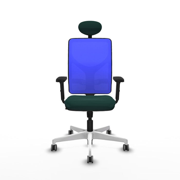 PIQUERAS Y CRESPO Silla de oficina Motilla con mecanismo Sincro, Verde botella y Azul PIQUERAS Y CRESPO Silla de oficina Motilla con mecanismo Sincro, Verde botella y Azul