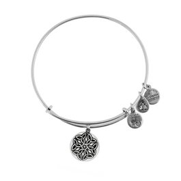 Alex And Ani Pulsera de Metal Gris para Mujer