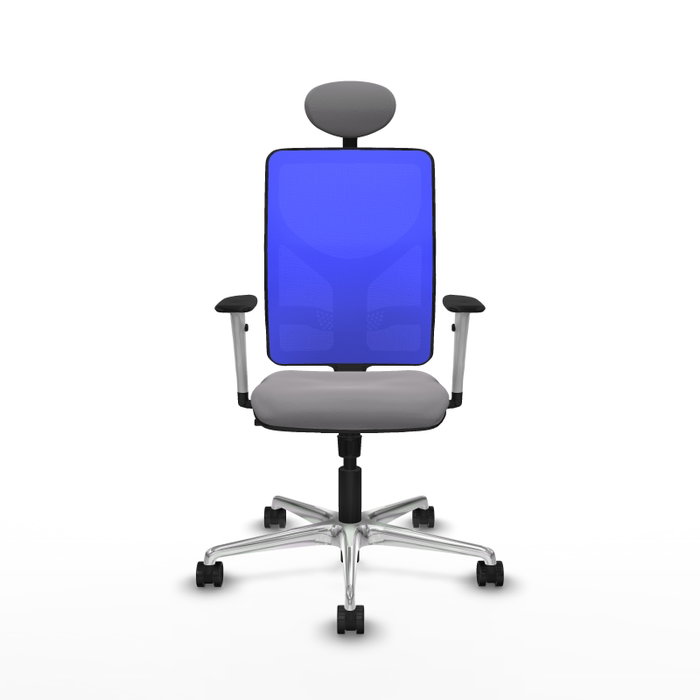 PIQUERAS Y CRESPO Silla de oficina Motilla con mecanismo Sincro, Gris y Azul PIQUERAS Y CRESPO Silla de oficina Motilla con mecanismo Sincro, Gris y Azul