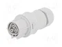 WIELAND Conector industrial RST redondo hembra de 3 pines, 250V
