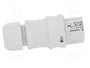 WIELAND Conector industrial RST redondo hembra de 3 pines, 250V