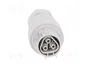 WIELAND Conector industrial RST redondo hembra de 3 pines, 250V
