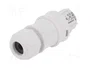 WIELAND Conector industrial RST redondo hembra de 3 pines, 250V
