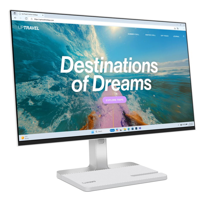 Lenovo Monitor L24D-4C de 60.5 cm (23.8 pulg) Gris
