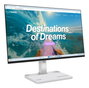 Lenovo Monitor L24D-4C de 60.5 cm (23.8 pulg) Gris