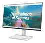 Lenovo Monitor L24D-4C de 60.5 cm (23.8 pulg) Gris