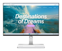 Lenovo Monitor L24D-4C de 60.5 cm (23.8 pulg) Gris