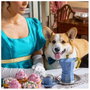 Bialetti Moka Express Bridgerton 3 Tazas Azul y Oro