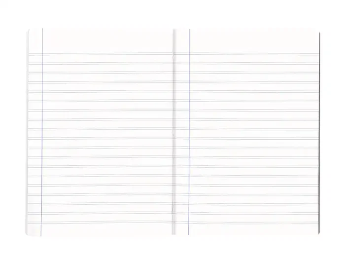 Liderpapel Libreta Scriptus A4 48 Hojas 90gr Pauta 5ª 2.5mm con Margen