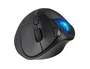 Kensington Pro Fit Ergo TB450 Trackball Inalámbrico Negro/Azul