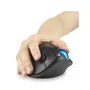 Kensington Pro Fit Ergo TB450 Trackball Inalámbrico RF 2.4GHz + Bluetooth Ergonómico 1600 DPI Negro/Azul - Para Oficina y Mano Derecha