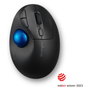 Kensington Pro Fit Ergo TB450 Trackball Inalámbrico Negro/Azul