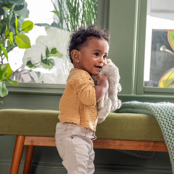 Ingenuity Luz de Noche para Bebé Conejito Sylvie de Peluche ING0074451173088, Musical, Luminosa, Responde al Llanto, Ruido Blanco, Clip para Chupete