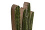 DKD Home Decor Set de 2 Decoraciones Cactus de Madera de Mango Lacada