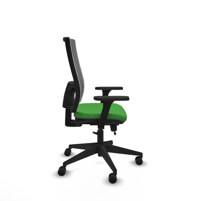 PIQUERAS Y CRESPO Silla de oficina Horna con mecanismo Sincro/Traslack, Verde y Gris PIQUERAS Y CRESPO Silla de oficina Horna con mecanismo Sincro/Traslack, Verde y Gris