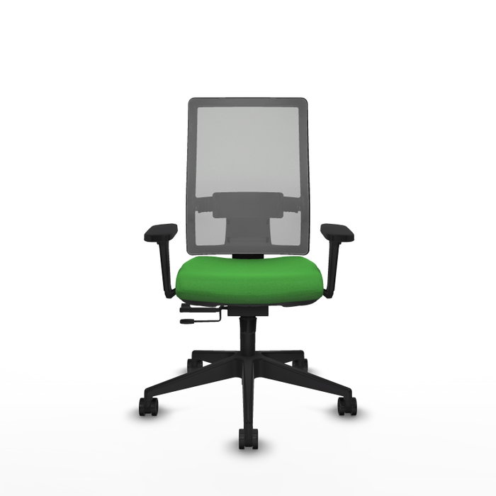 PIQUERAS Y CRESPO Silla de oficina Horna con mecanismo Sincro/Traslack, Verde y Gris PIQUERAS Y CRESPO Silla de oficina Horna con mecanismo Sincro/Traslack, Verde y Gris
